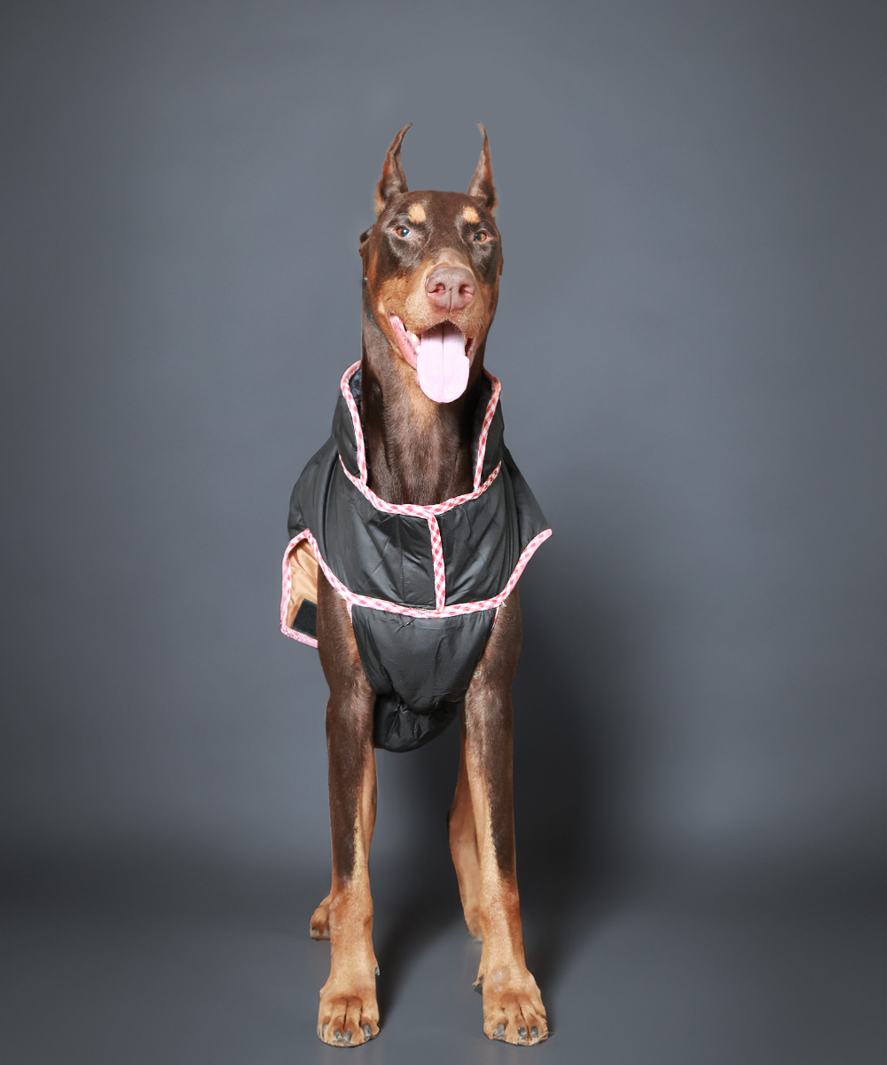 Pet Set Go Wind Sheeter Jackets for Dogs (Black)