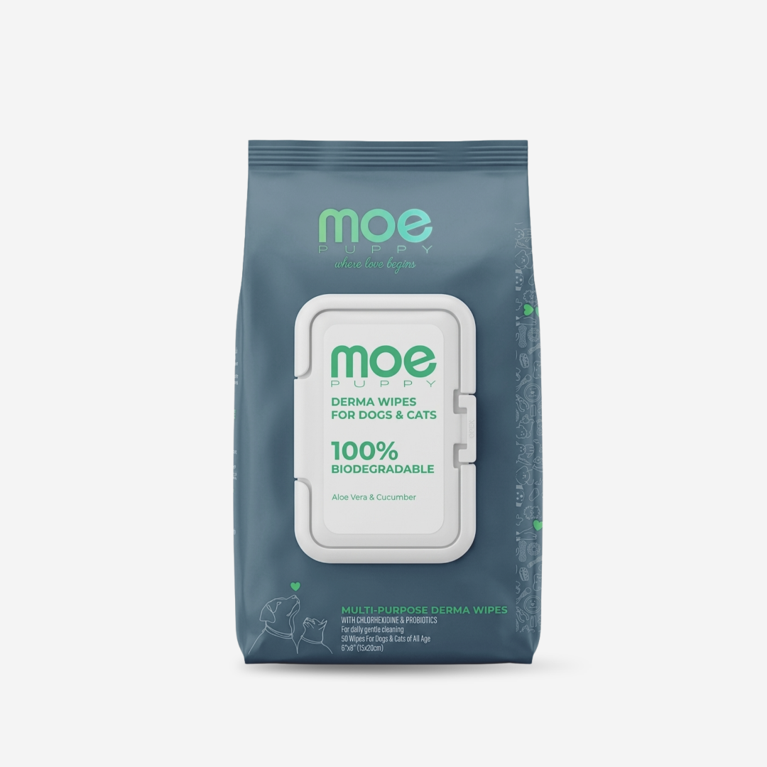 Moe Puppy Aloe Vera & Cucumber 100% Biodegradable Drema Wipes for Dogs and Cats