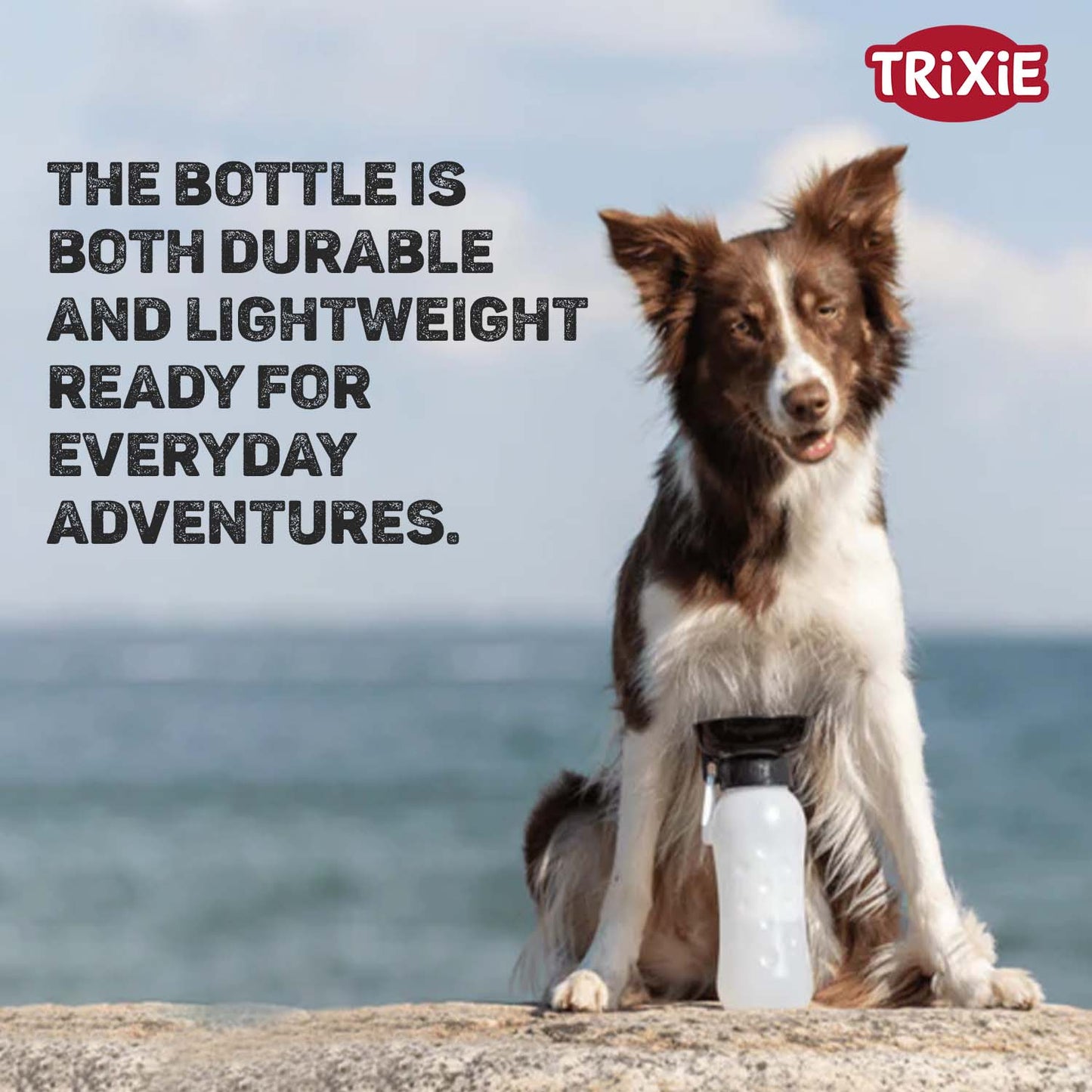 Trixie Travel Bottle with Bowl for Dogs and Cats (Black)