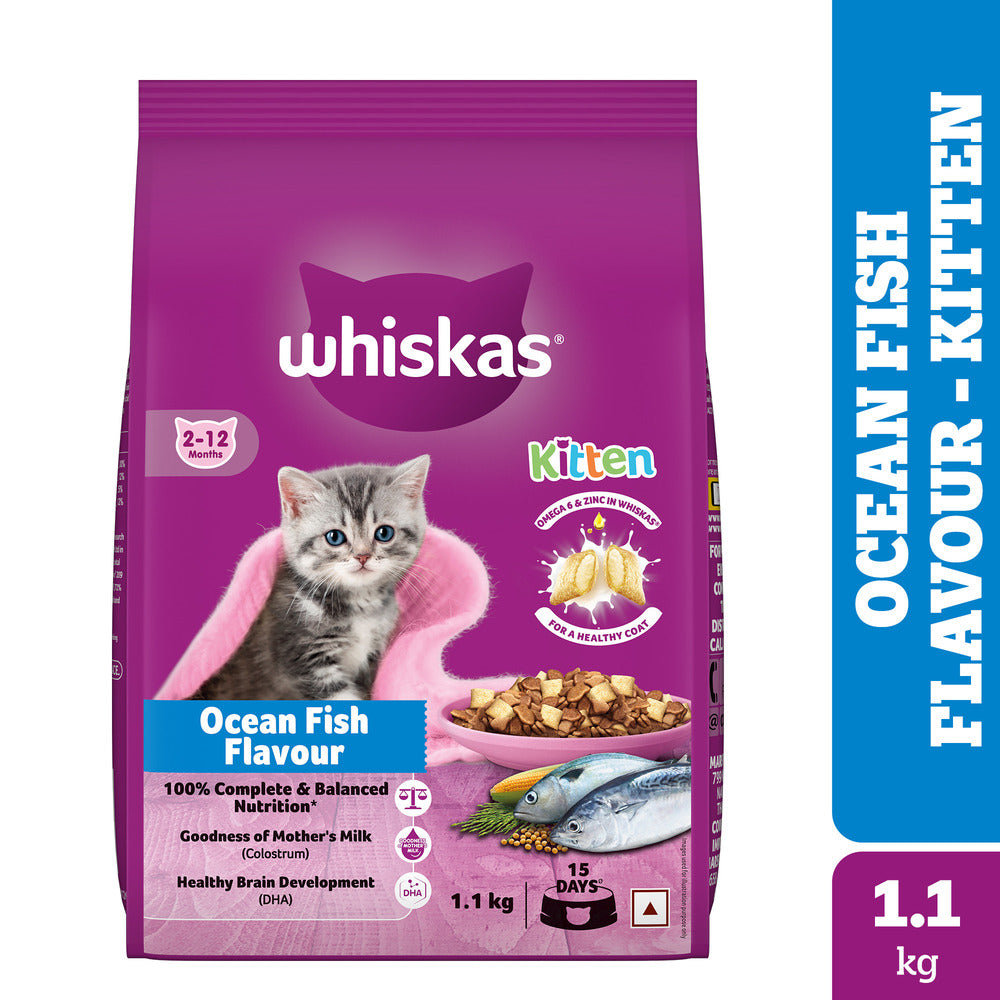 Whiskas Ocean Fish Kitten/Mother and Baby Dry Food & Petkit YumShare Solo Automatic Food Dispenser Combo for Kitten