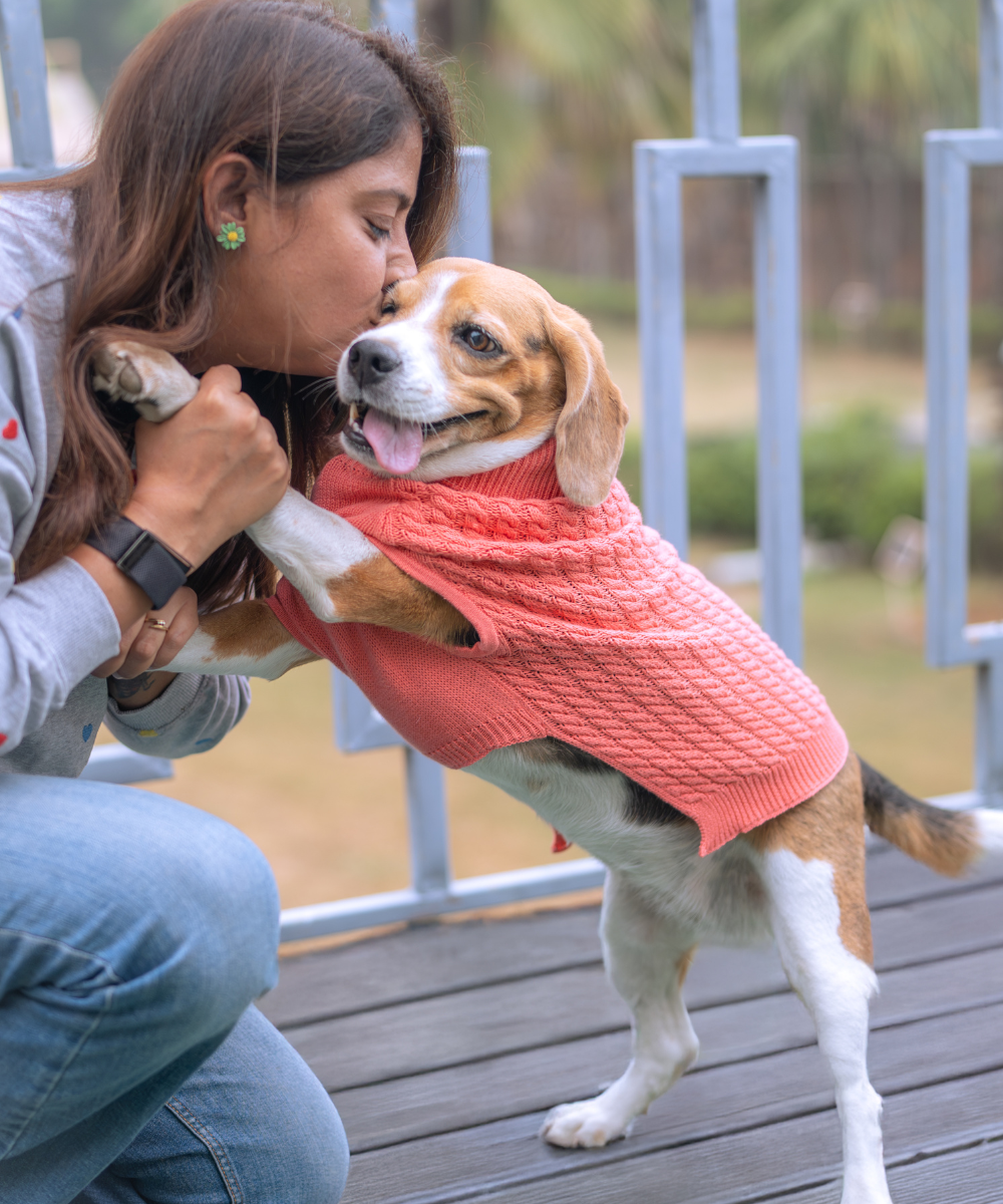 Pet Set Go Cable Knit Sweater for Dogs (Peach)