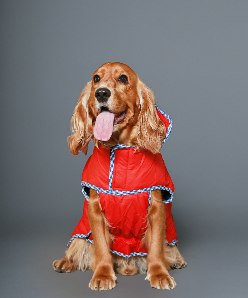 Pet Set Go Wind Sheeter Jackets for Dogs (Red)