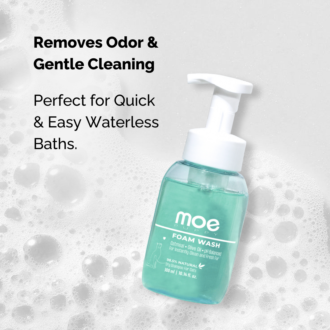Moe Puppy Cleansing & Conditioning Foam Shampoo for Cats