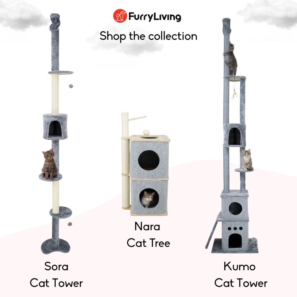 FurryLiving Sora Adjustable Floor to Ceiling with Scratching Posts, Condo and Hanging Toy Cat Tree