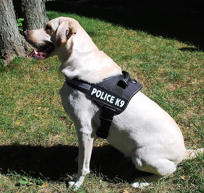 Skatrs Police K9 Harness for Dogs (Neon Green)