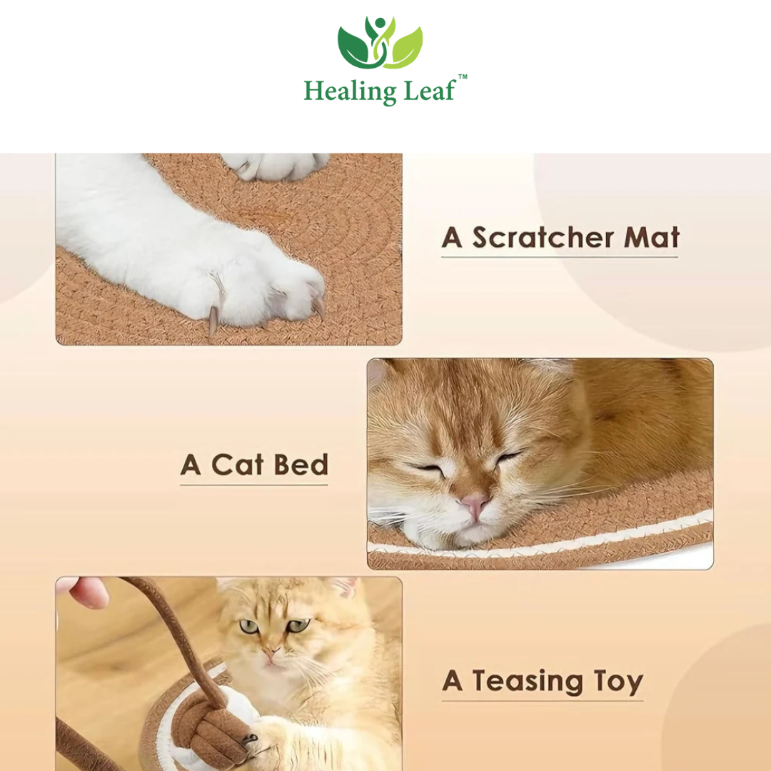 Healing Leaf Eco friendly Scratching Mat for Cats