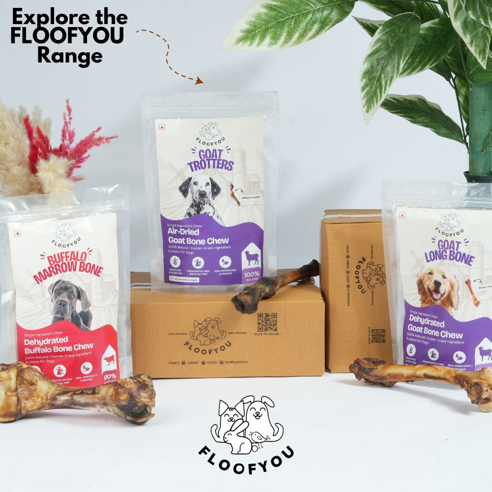 Floofyou Air Dried Goat Loin Bone Dental Chew Dog Treats