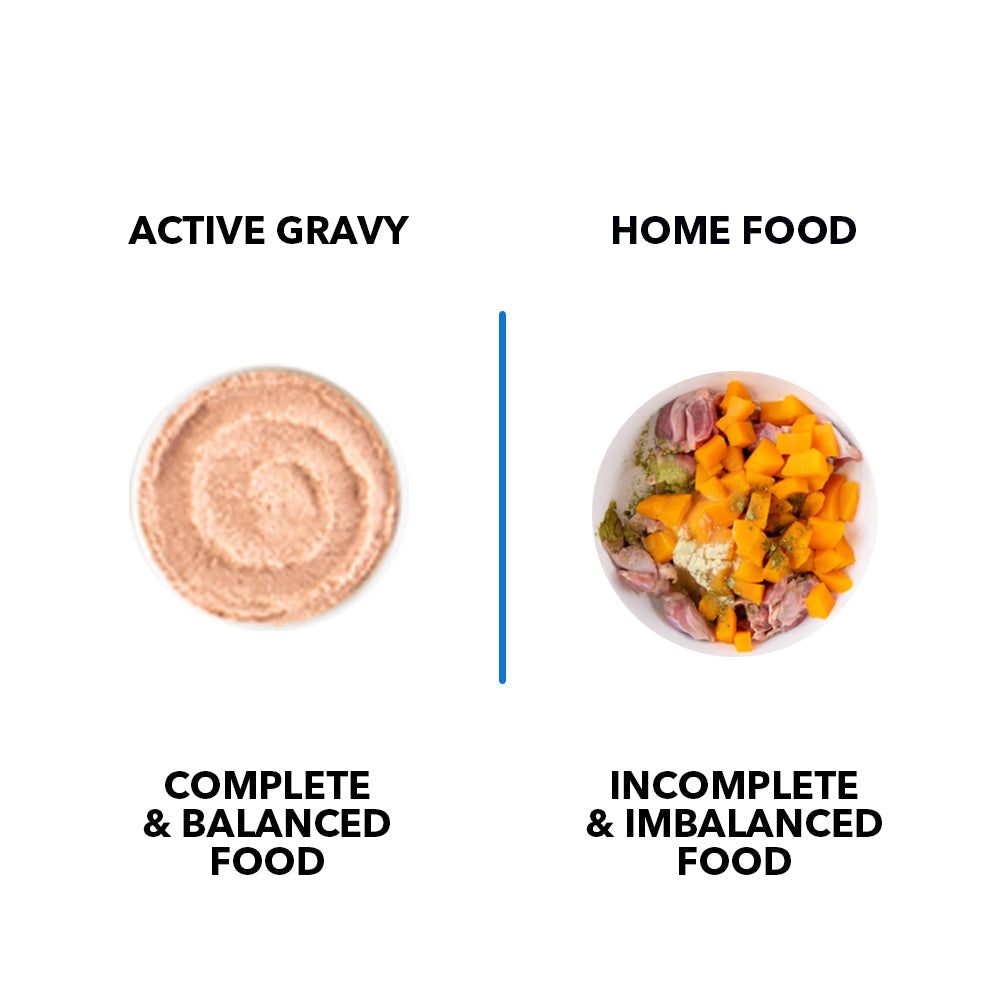 Active Real Ocean Fish in Gravy Adult Cat Wet Food ( Buy 1 Get 1)