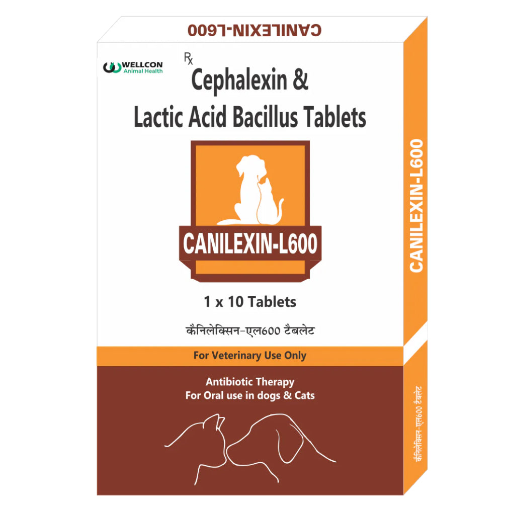Wellcon Canilexin L 600mg Tablet (Cephalexin) for Dogs and Cats