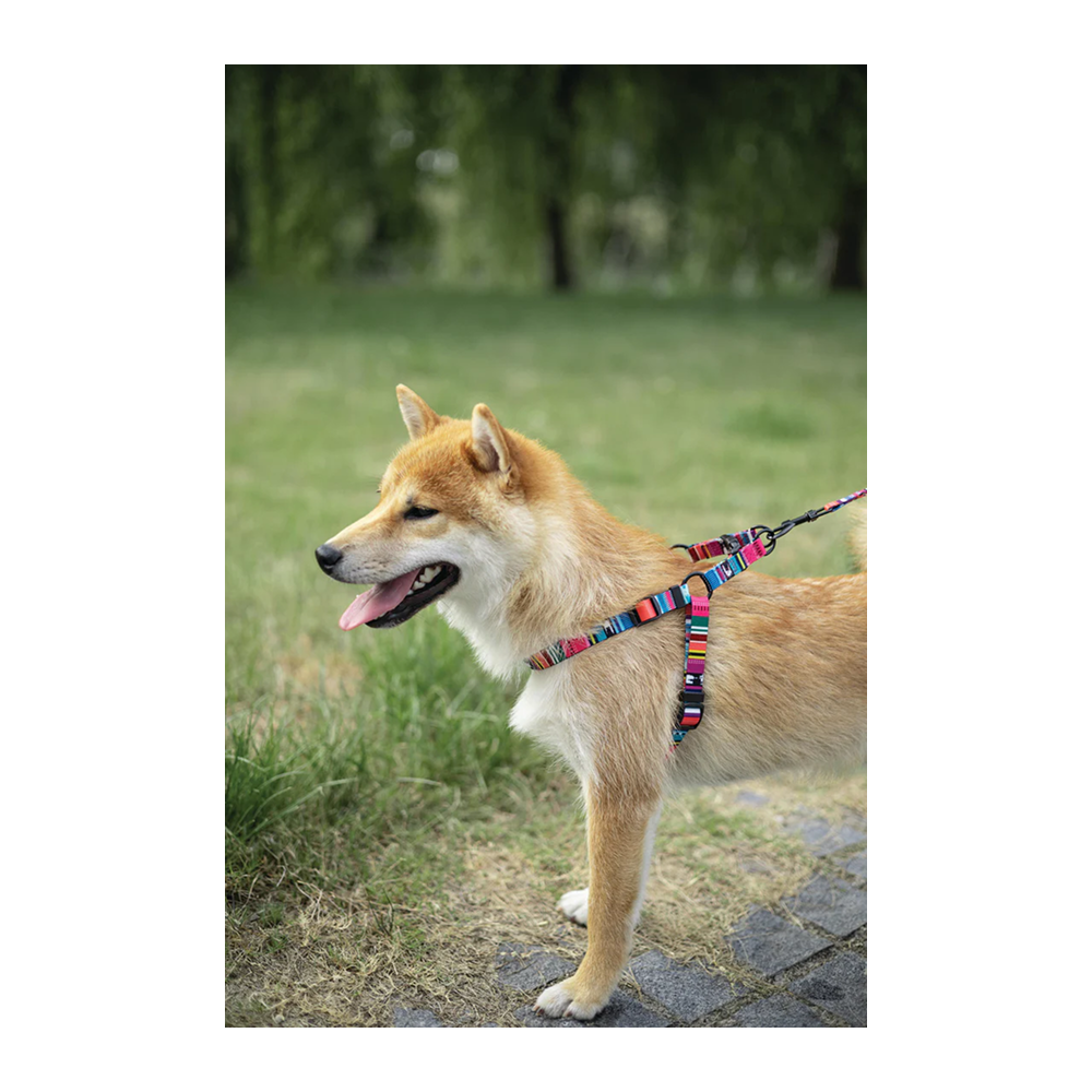 M Pets Urban Style Jazz Stripes Harness for Dogs