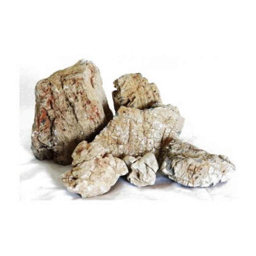 Splashy Fin Elepahant Rock for Aquarium