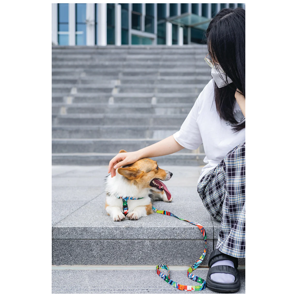 M Pets Urban Style Freestyle Harness for Dogs