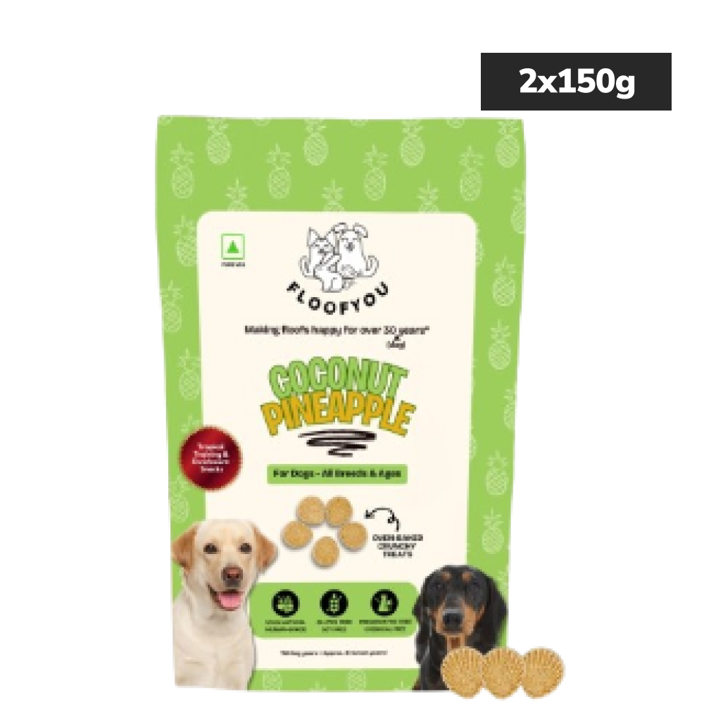 Floofyou Coconut Pineapple Vegan Oven Baked Cookie Dog Treats