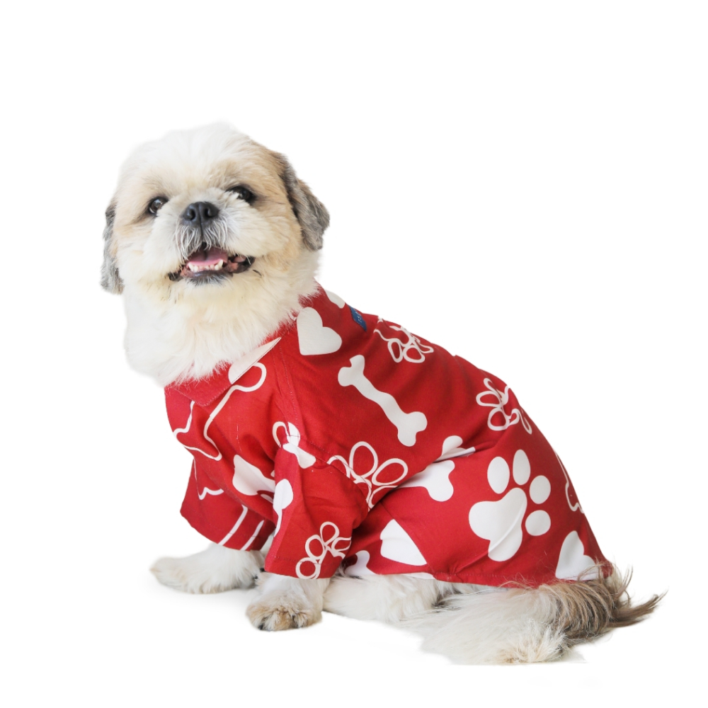 15 Furries Paws-itive Shirt for Dogs