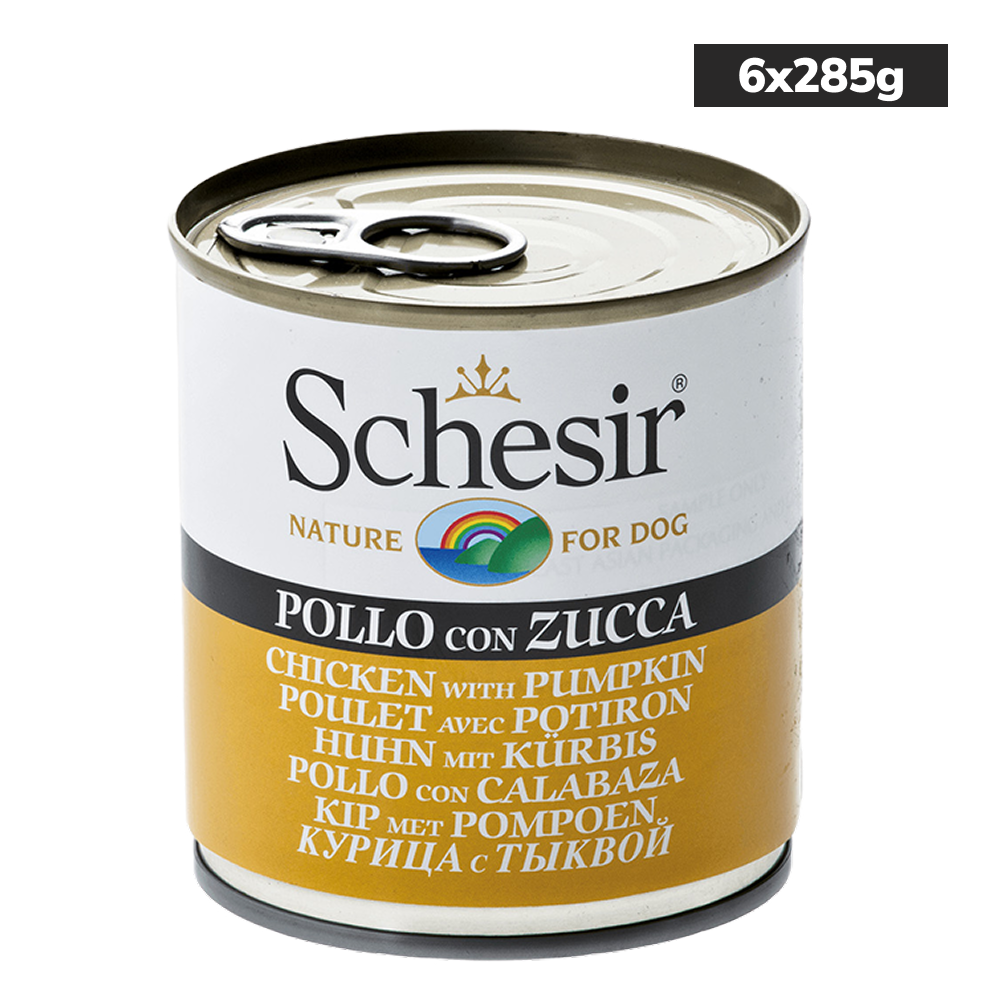 Schesir Chicken & Rice with Pumpkin in Jelly Dog Wet Food