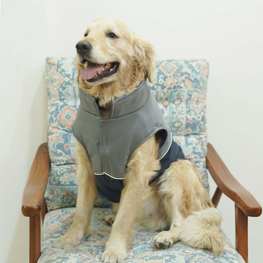 Pets Way Frost Winter Jacket for Dogs (Navy)