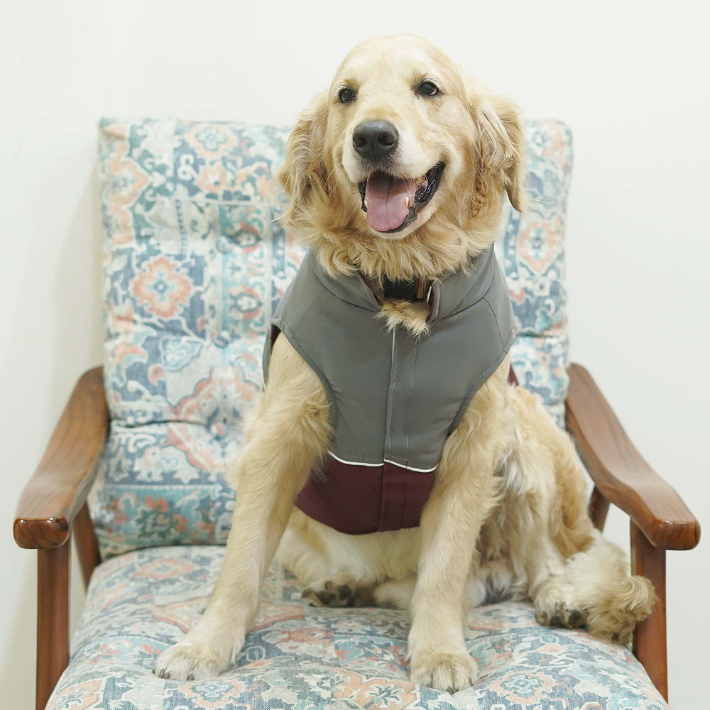 Pets Way Frost Winter Jacket for Dogs (Wine)