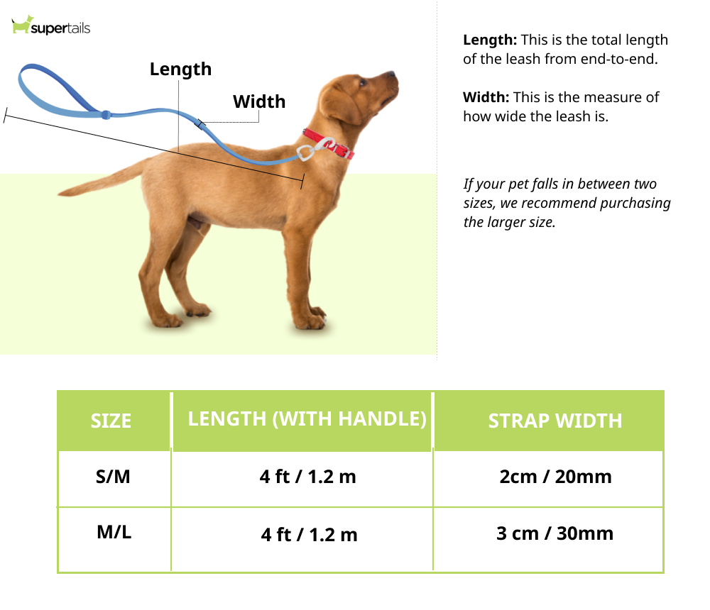 HUFT Classic Leash for Dogs (Cherry Red)