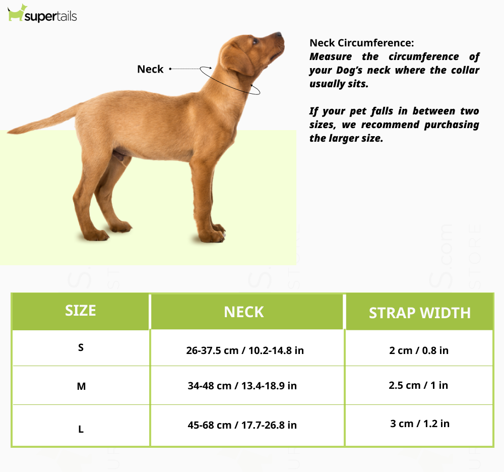 HUFT Xplorers Collar for Dogs (Orange)