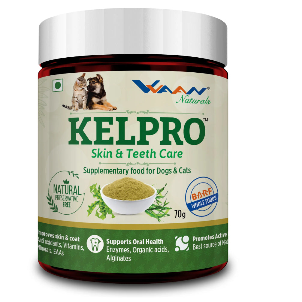 Vvaan Kelpro Powder Skin & Teeth Care Dogs and Cats