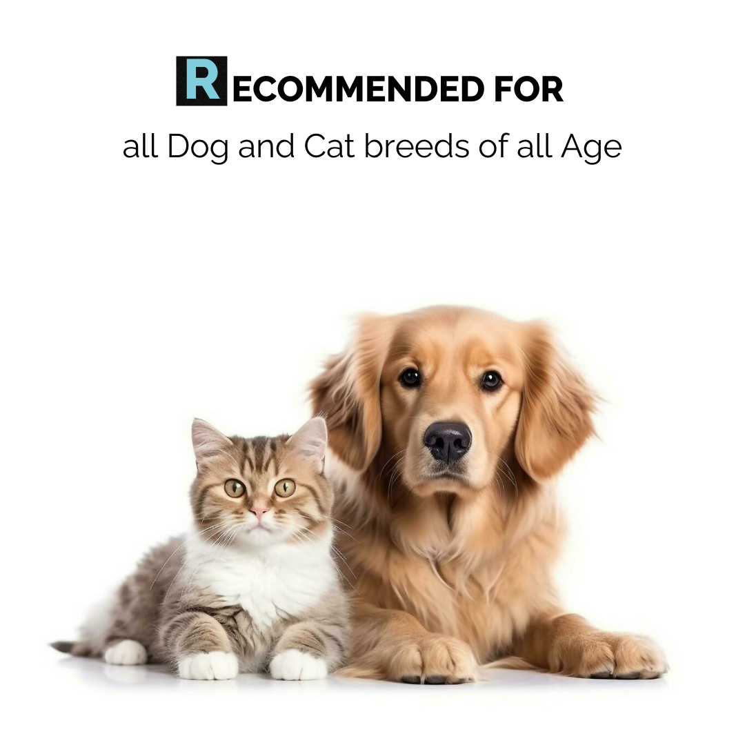 Moe Puppy Thyme Grapeseed Dental Spray for Dogs & Cats