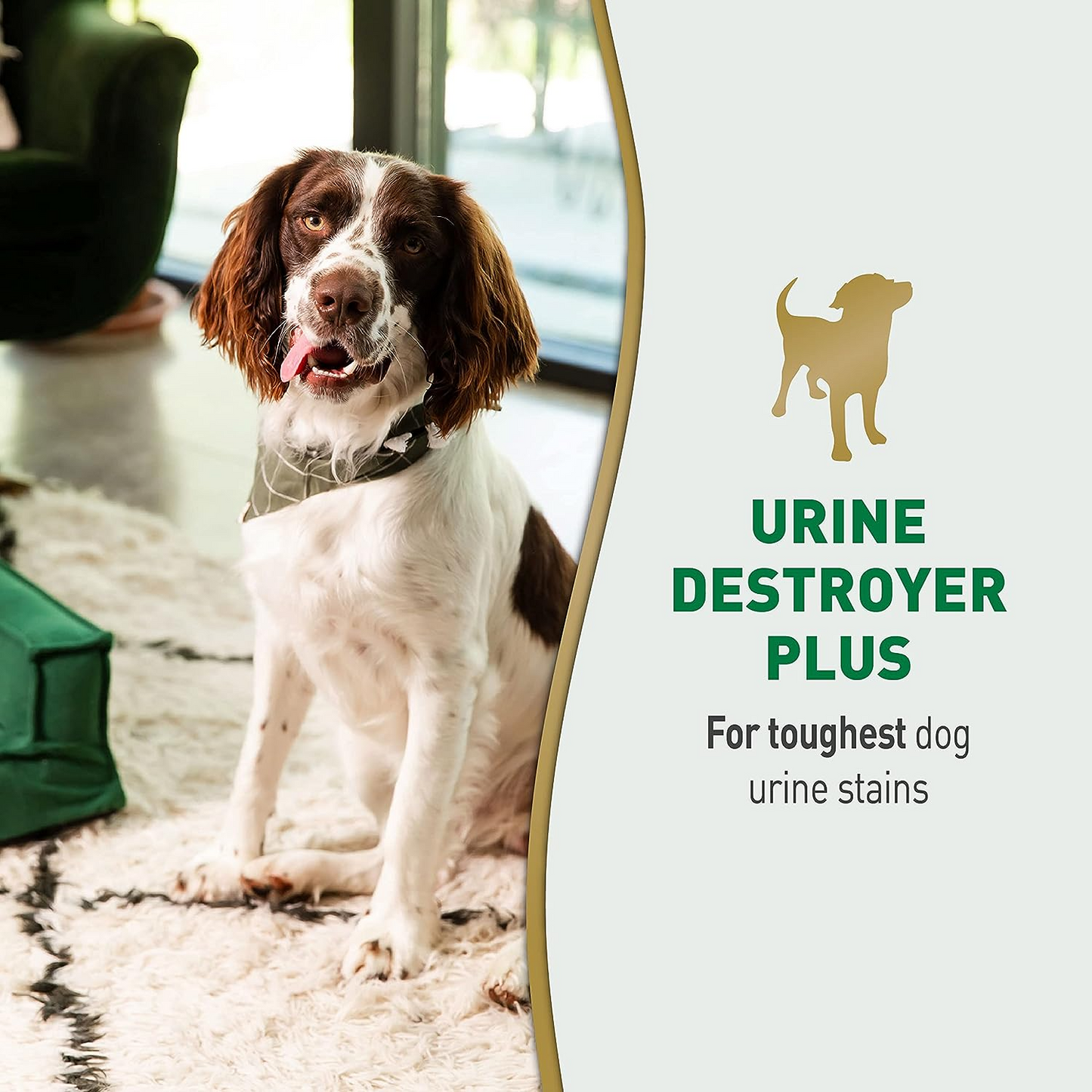 Nature’s Miracle Urine Destroyer Plus for Dogs