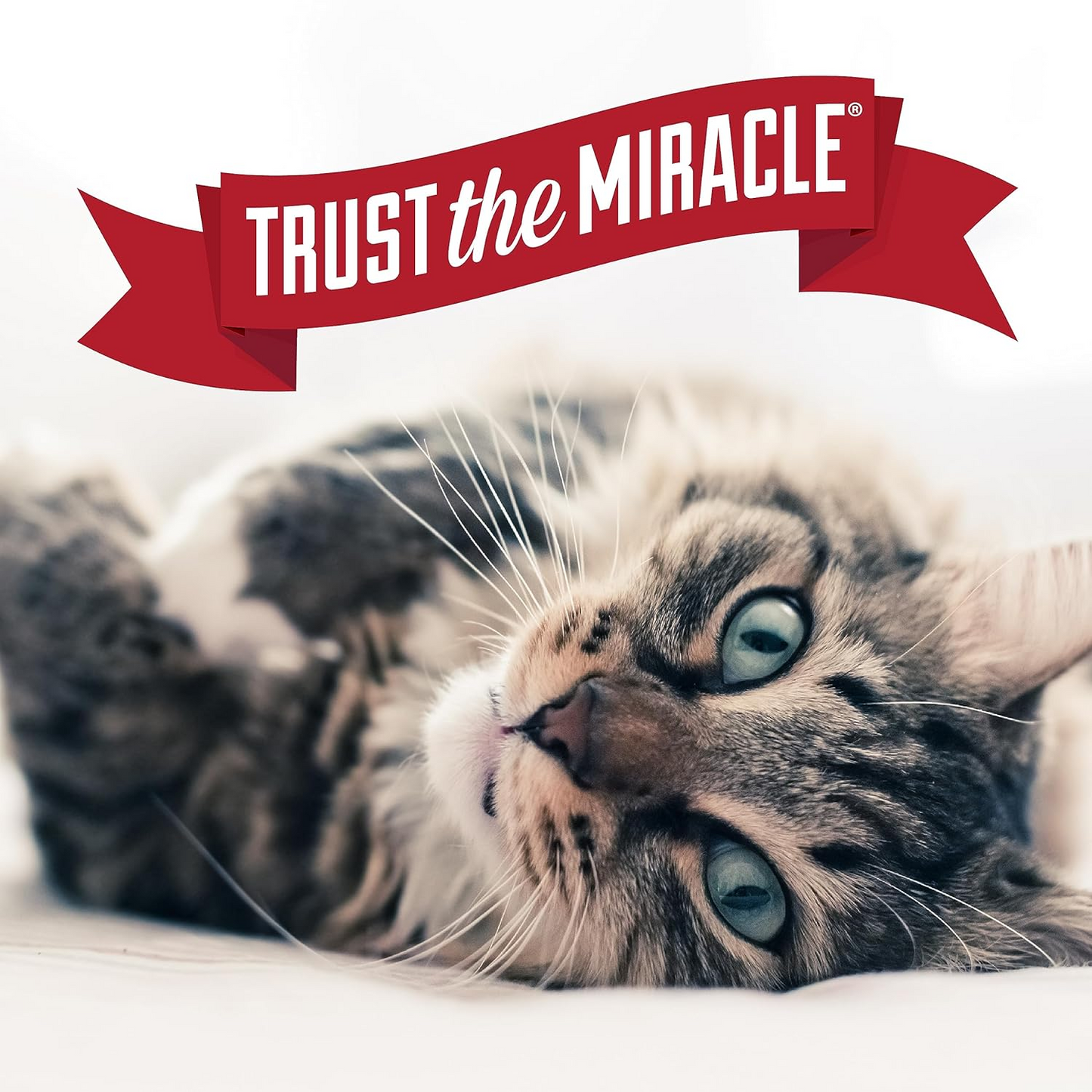 Nature's Miracle Air Care Deodorizer for Dogs and Cats