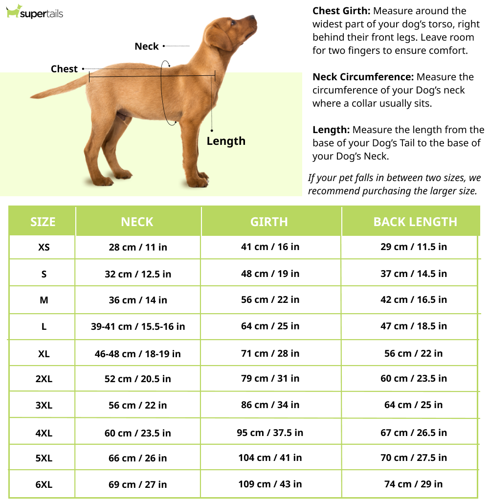 Pets Way Dogzilla Tshirt for Dogs