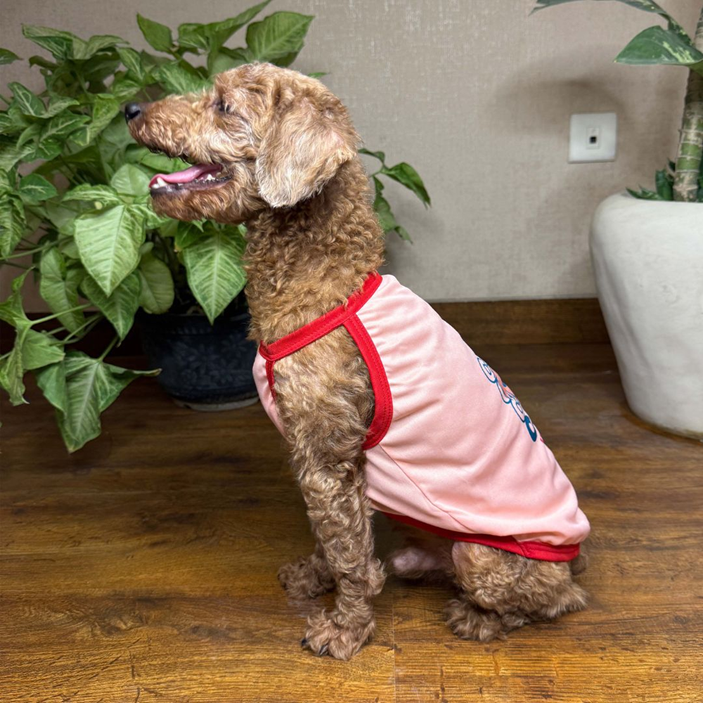 Pets Way Cool Pups Vest Combo for Dogs (Pack of 3)