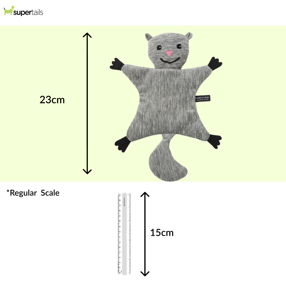 Pawpourri Squirrel Flattie Toy for Dogs