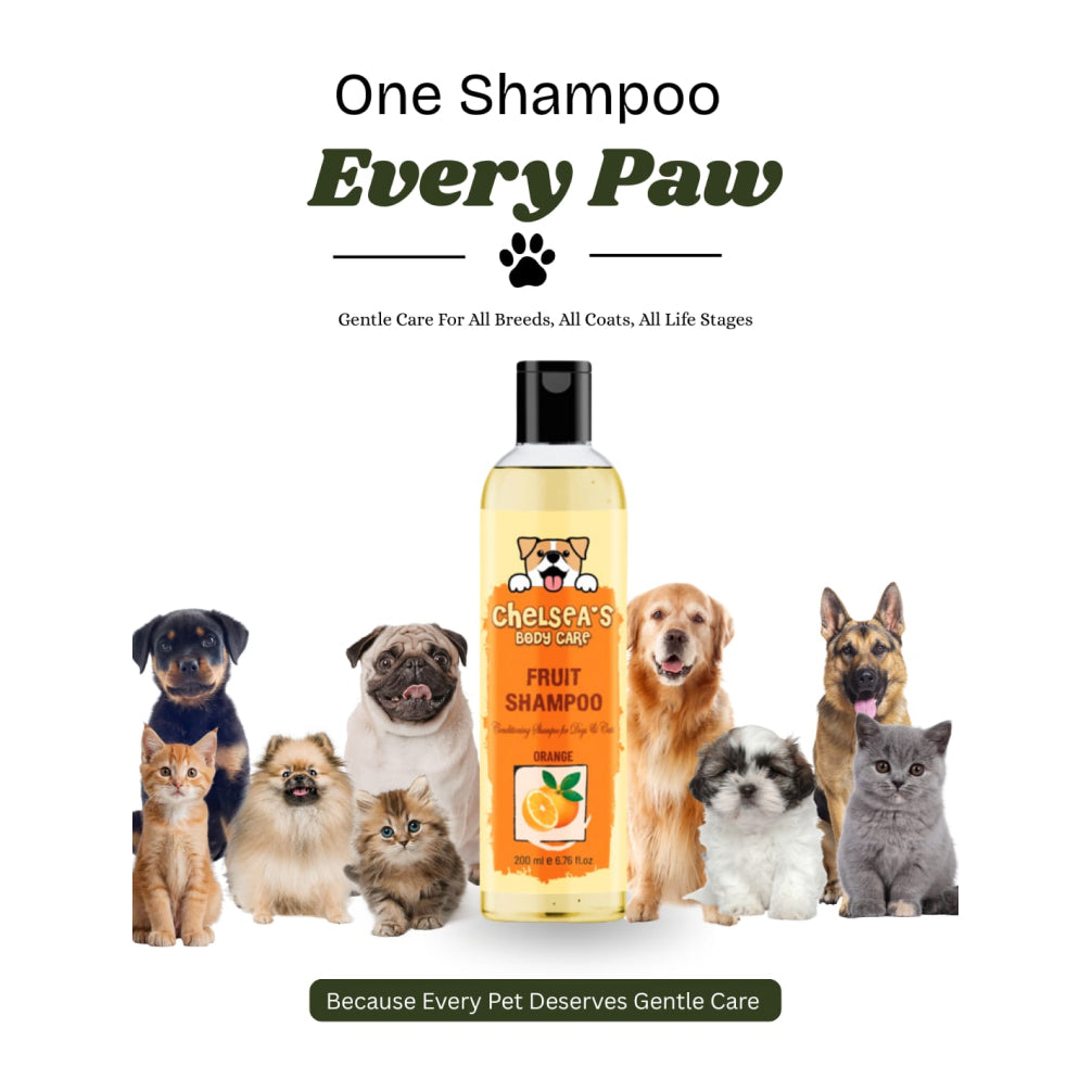 Dr. Chelsea's Orange Fruit Conditing Shampoo for Cats & Dogs