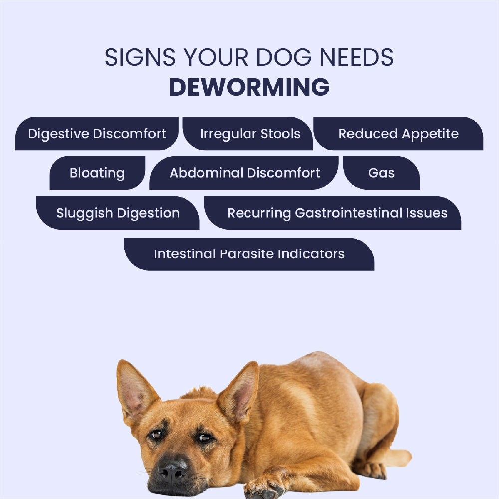 FurBall Story Worm No More Deworming Tablet for Dogs and Cats