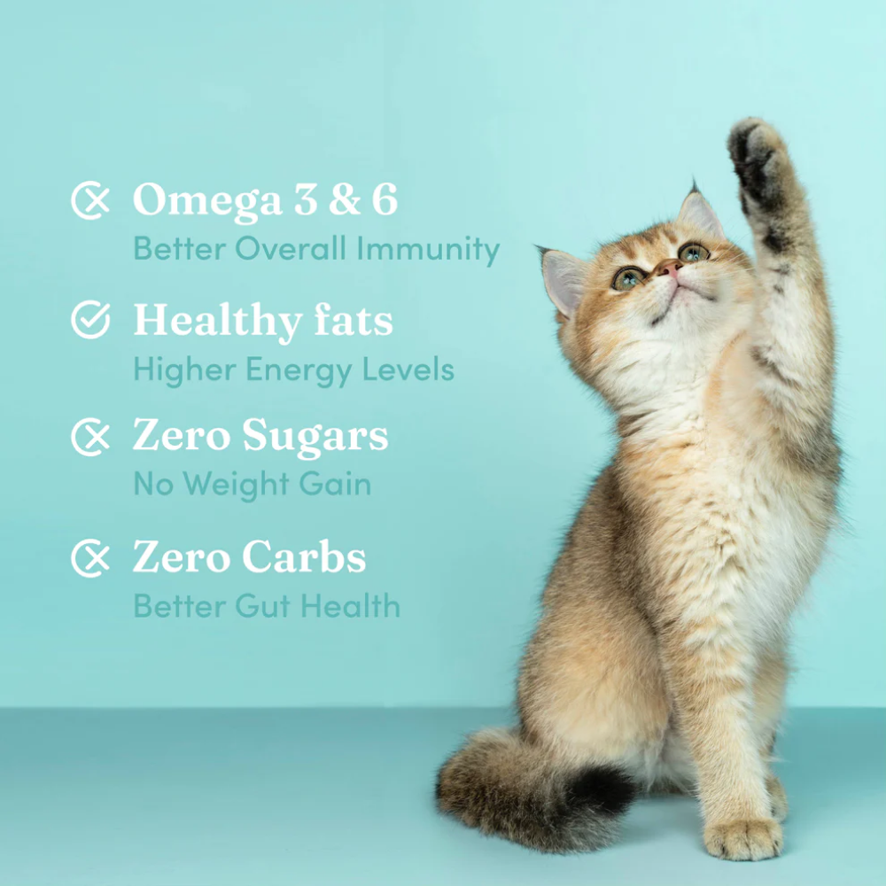 Vedic Tails Strong Cannabis Leaf Oil for Dogs and Cats