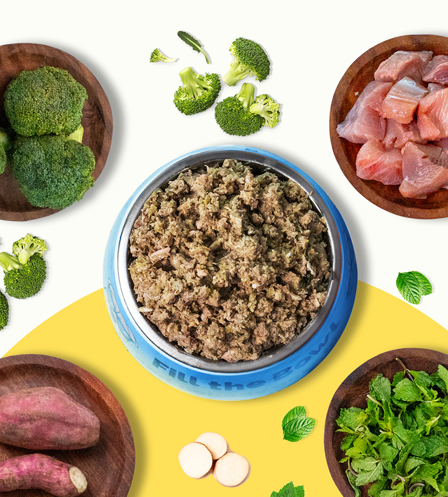 Pawfectly Made By Licious Fish Broccoli & Sweet Potato Home Meal for Dogs
