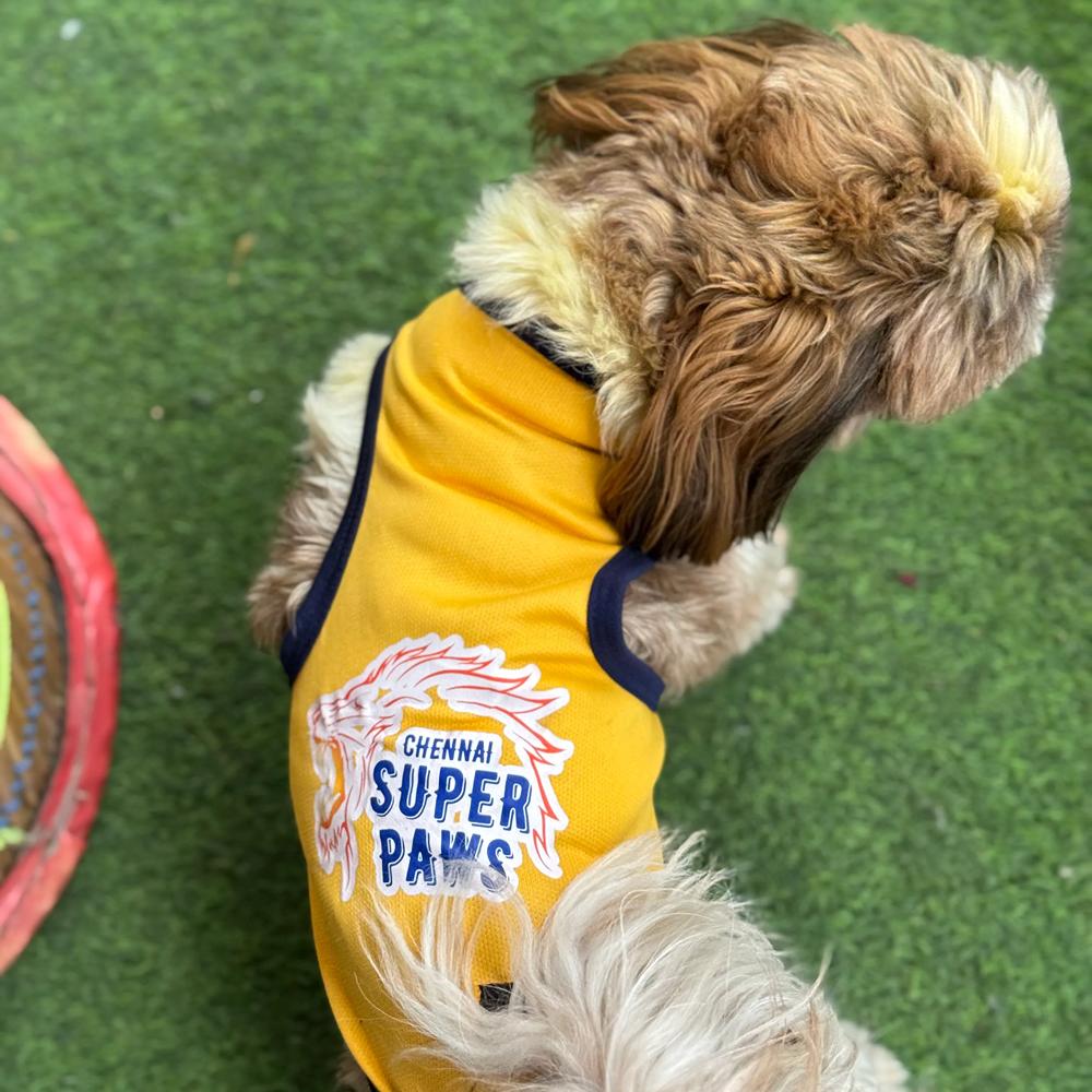 Chennai Supaw Kings ipl Jersey for Dogs and Cats | Indian Pet League