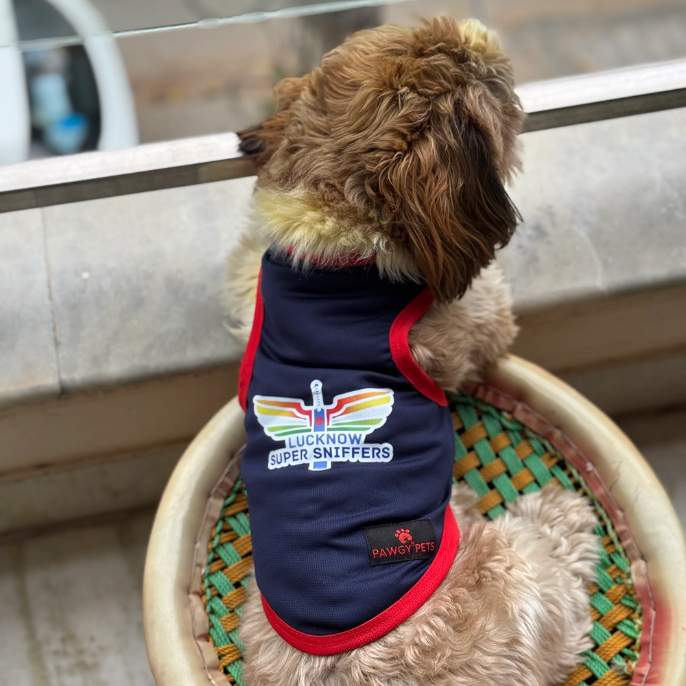 Lucknow Super Sniffers ipl Jersey for Dogs and Cats | Indian Pet League