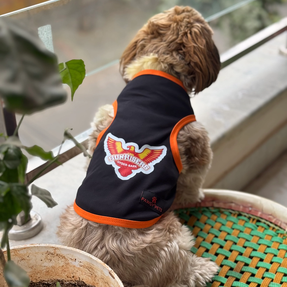 Sunrisers Hyder Bark ipl Jersey for Dogs and Cats | Indian Pet League