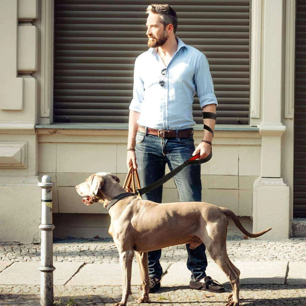 Hank Leash Design for Heavy Puller Dogs (Red)