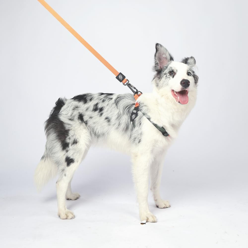 M Pets Wild Jungle Control Leash for Dogs