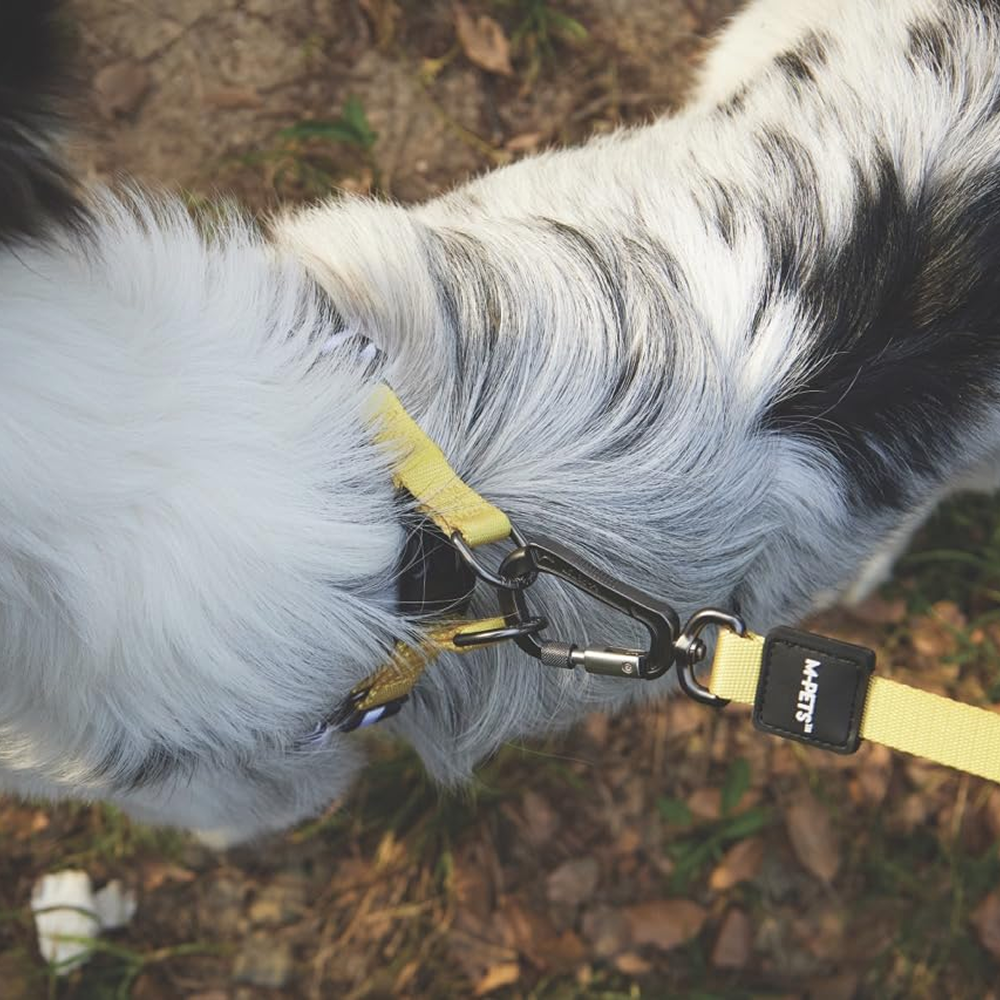 M Pets Wild Safari Regular Leash for Dogs