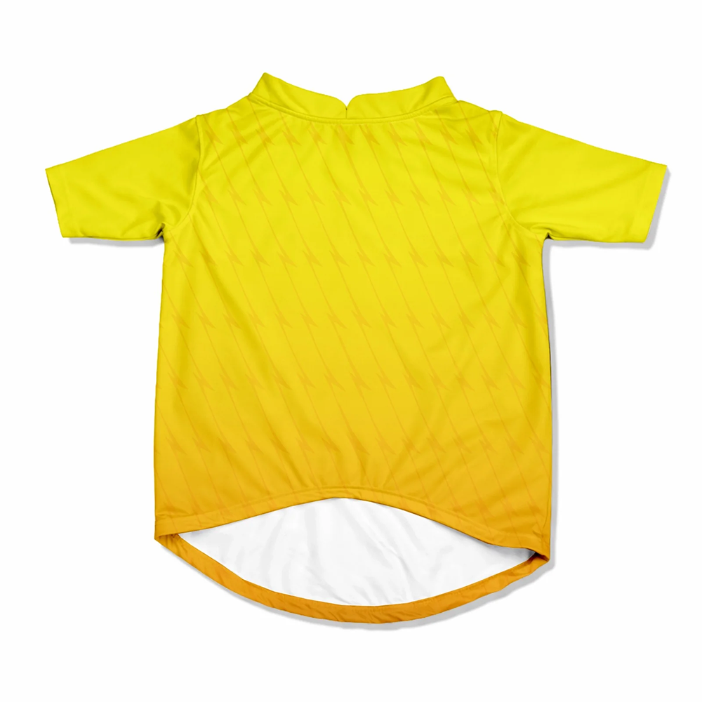 Pawsindia Chennai Super Pups T20 Pets Premier League Jersey for Cats | Indian Pet League