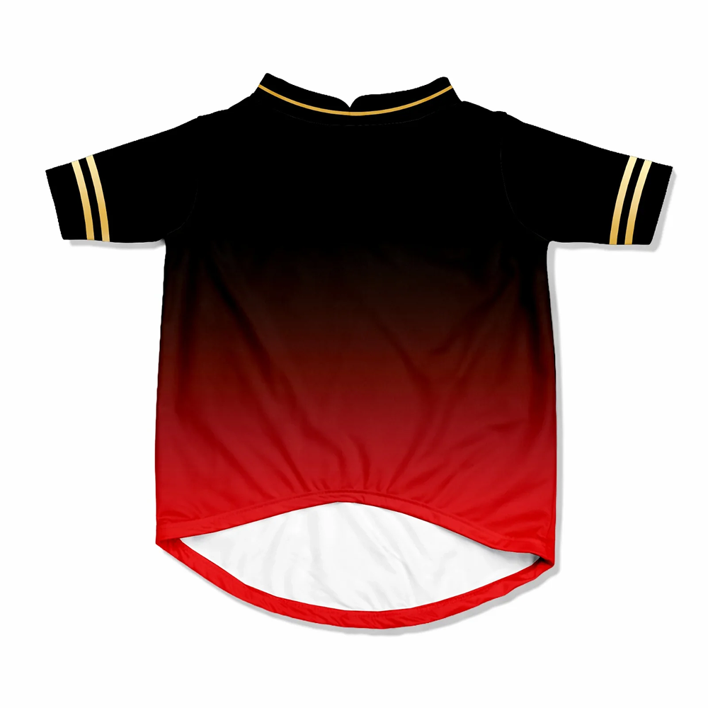 Pawsindia Royal Pups Of Bangalore T20 Pets Premier League Jersey for Dogs | Indian Pet League