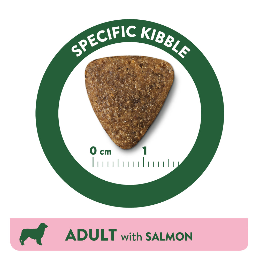 Affinity Libra Adult Dog Salmon Dry Food