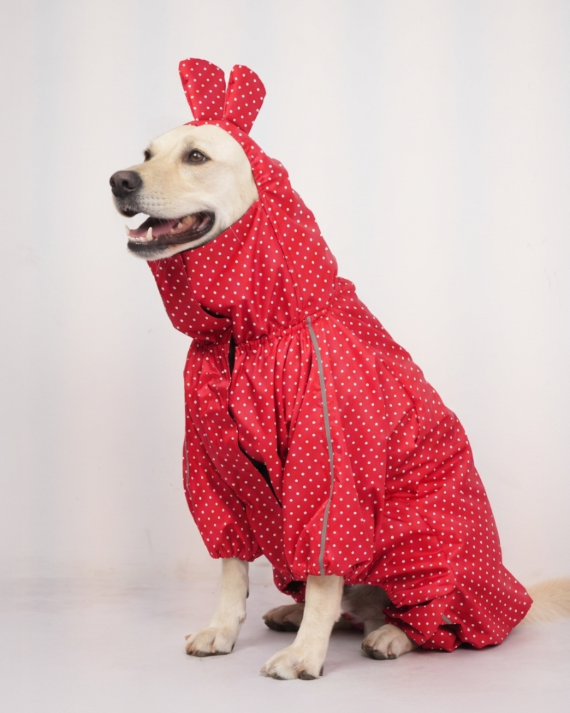 Skatrs Raincoat for Dogs (Red)