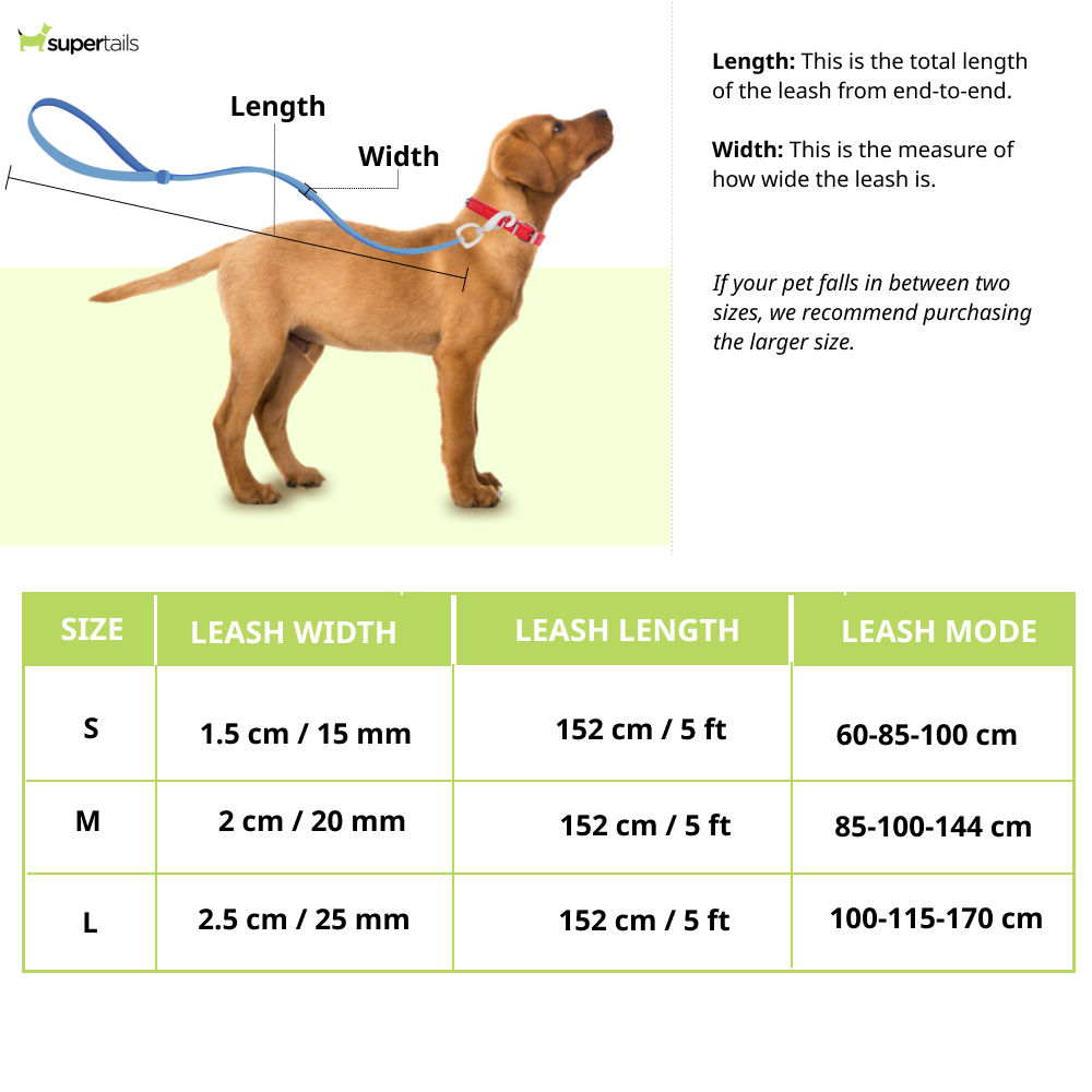 Skatrs 3 in 1 Adjustable Leash for Dogs (Aqua Teal)