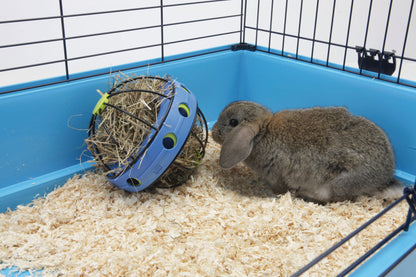 Savic Bunny Toy with Feeder for Rabbits