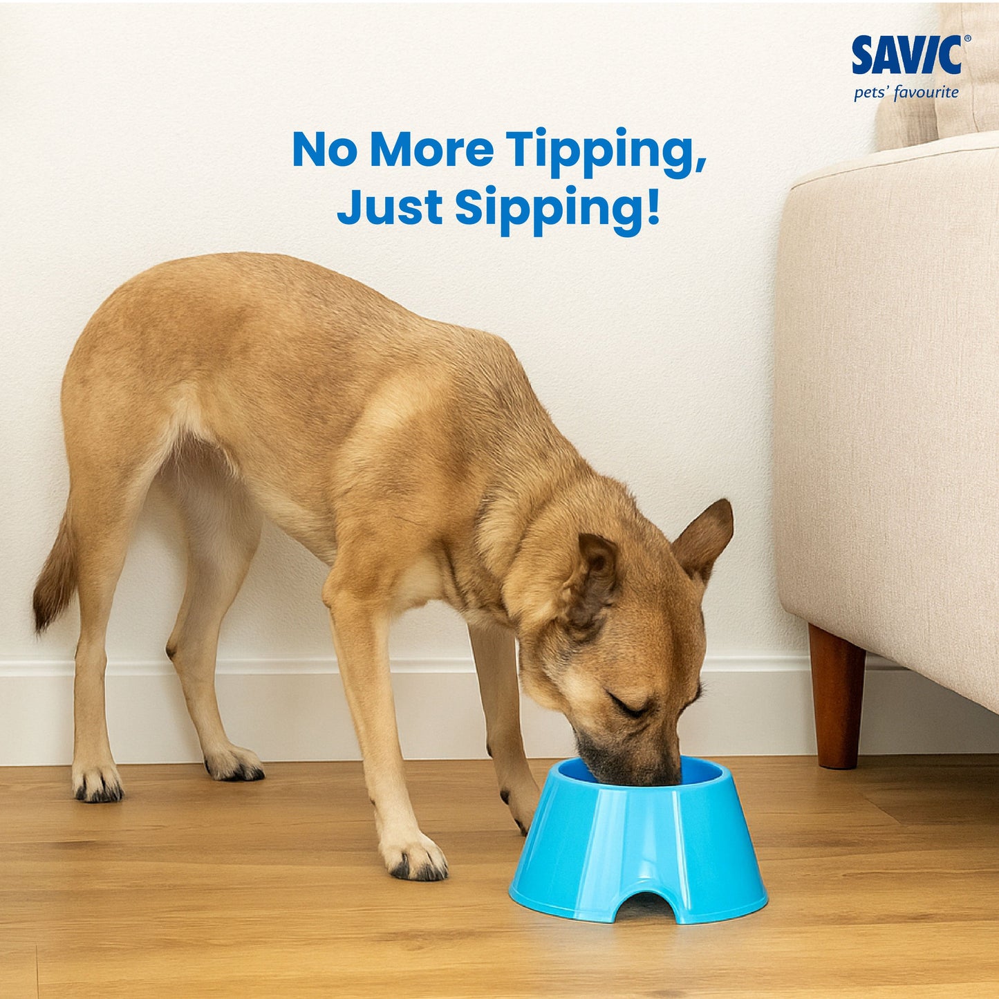 Savic Picnic Cocker Bowl for Dogs and Cats (Blue)
