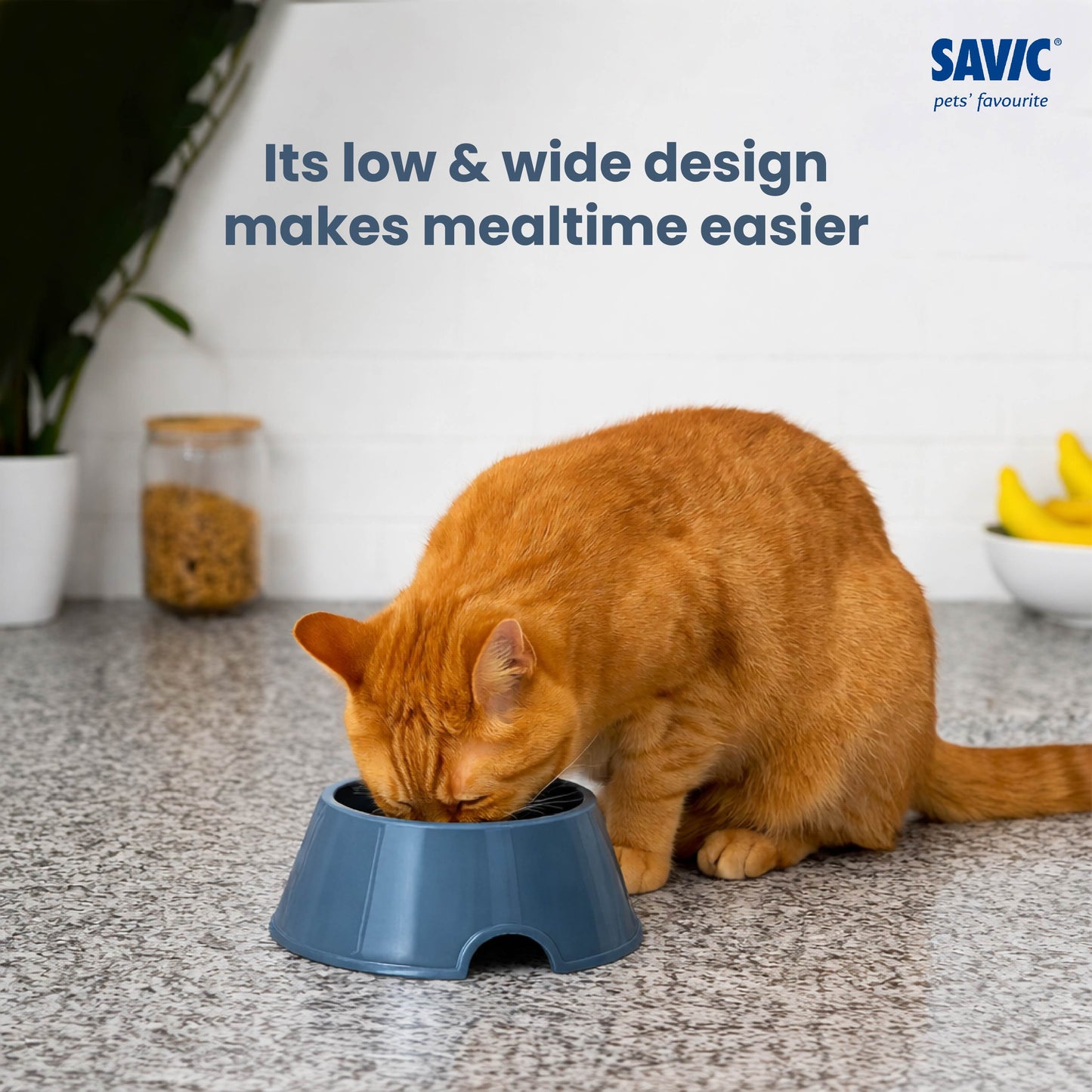 Savic Picnic Cocker Bowl for Dogs and Cats (Grey)