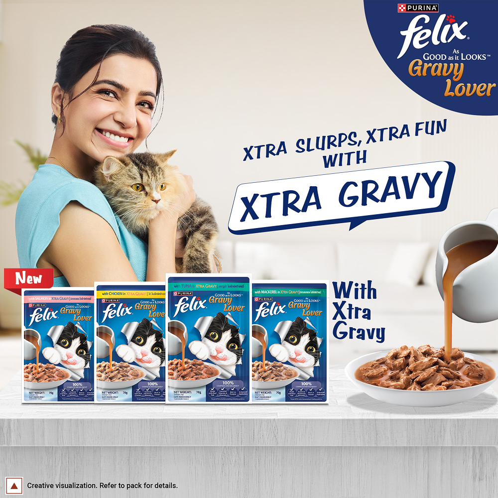 Purina Felix Gravy Lover Salmon Chunks Adult Complete and Balanced Cat Wet Food