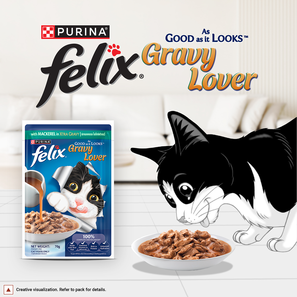 Purina Felix Gravy Lover Mackerel Chunks Complete and Balanced Adult Cat Wet Food